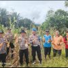 Polsek Kampar Kiri Hilir Monitoring Hasil Panen Jagung Desa Simalinyang – 3 Desa Hasilkan 3 Ton, Dukung Ketahtanan Pangan