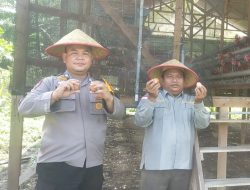 POLSEK KAMPAR KIRI HILIR GELAR PROGRAM P2B DI DESA PENGHIDUPAN – BUAT KANDANG AYAM PETELUR UNTUK KETAHTANAN PANGAN BERGIZI