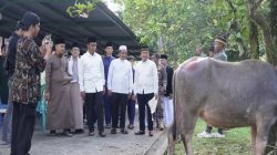 Islamic Center Bangkinang Masuk 4 Besar Nasional Penyumbang Hewan Qurban Terbanyak