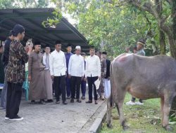 Islamic Center Bangkinang Masuk 4 Besar Nasional Penyumbang Hewan Qurban Terbanyak
