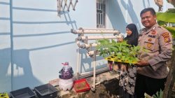 Bhabinkamtibmas Polsek Tambang Sambang dan Pengecekan Tanaman Hidroponik Didesa Teluk Kenidai