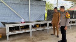 Bhabinkamtibmas Polsek Tambang Sambang Peternakan Ayam Kampung Didesa Gobah