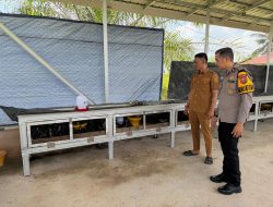 Bhabinkamtibmas Polsek Tambang Sambang Peternakan Ayam Kampung Didesa Gobah