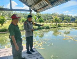 Bhabinkamtibmas Polsek Tambang Sambangi Kolam Ikan Didesa Kampar