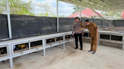 Bhabinkamtibmas Polsek Tambang Sambang Peternakan Ayam Kampung Didesa Gobah