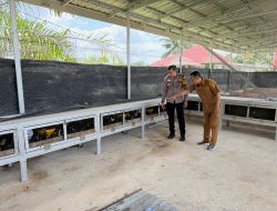 Bhabinkamtibmas Polsek Tambang Sambang Peternakan Ayam Kampung Didesa Gobah