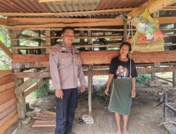 Bhabinkamtibmas Polsek Tambang Lakukan Pengecekan Peternak Kambing Didesa Teluk Kenidai