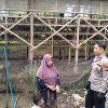 Bhabinkamtibmas Polsek Tambang Sambang dan Melihat Ayam Petelur Didesa Balam Jaya