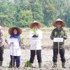 Bupati Kampar Canangkan Gerakan Tanam PADI Sawah Di Gapoktan Karya Indah Desa Empat Balai