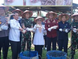 Wabup Kampar Panen Raya Ikan Patin Di Kolam Yonif 132/BS