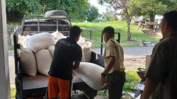 Polsek Kampar Kawal Distribusi 1,26 Ton Jagung Pipil ke Bulog, Wujud Nyata Dukungan Asta Cita Presiden Menuju Swasembada Pangan