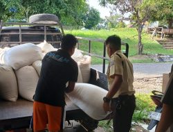 Polsek Kampar Kawal Distribusi 1,26 Ton Jagung Pipil ke Bulog, Wujud Nyata Dukungan Asta Cita Presiden Menuju Swasembada Pangan
