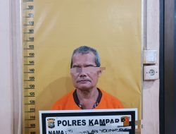 Polres Kampar Tangkap Pelaku KDRT, Diduga Karena Sakit Hati