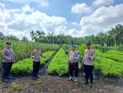 Kapolsek Kampar Kiri Hilir Tinjau Program Pekarangan Pangan Bergizi di Desa Simpang Dua untuk Dukung Ketahanan Pangan