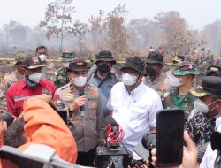Menteri LHK & Kapolda Riau Tinjau Langsung Karhutla di Kampar