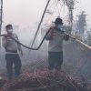 Kerahkan 123 Personel, Kapolres Kampar Pimpin, Pemadaman & Pendinginan Karhutla di Rimbo Panjang
