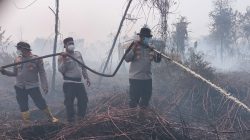 Kerahkan 123 Personel, Kapolres Kampar Pimpin, Pemadaman & Pendinginan Karhutla di Rimbo Panjang