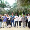 Wabup Kampar Tinjau Pembangunan Jalan di Kelurahan Sungai Pagar