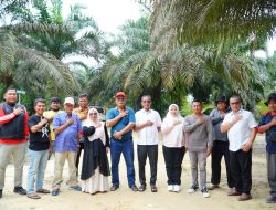 Wabup Kampar Tinjau Pembangunan Jalan di Kelurahan Sungai Pagar
