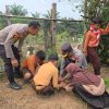 Cinta Alam Sejak Dini — Polsek Tapung Tanam Pohon Bersama Siswa & Warga Desa Petapahan