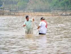 Bupati Ahmad Yuzar, Dorong Ikan Antau Larangan, Jadi Ikon Wisata Kampar