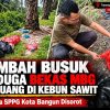 Limbah Busuk Diduga Bekas MBG Dibuang di Kebun Sawit, Mitra SPPG Kota Bangun Disorot!