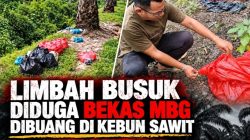 Limbah Busuk Diduga Bekas MBG Dibuang di Kebun Sawit, Mitra SPPG Kota Bangun Disorot!