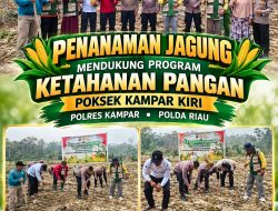 Dukung Swasembada Pangan 2026, Kapolsek Kampar Kiri Bersama Kelompok Tani Toeroba Berkah Tanam Jagung di Desa Kuntu