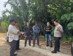Respon Cepat, Polsek Perhentian Raja Langsung Cek Adanya Sawmil Ilegal